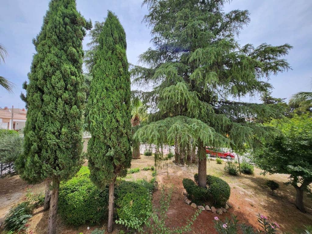 6 sypialnia Dom na sprzedaż w Santiago de Calatrava - 68 000 € (Ref: 10046160)