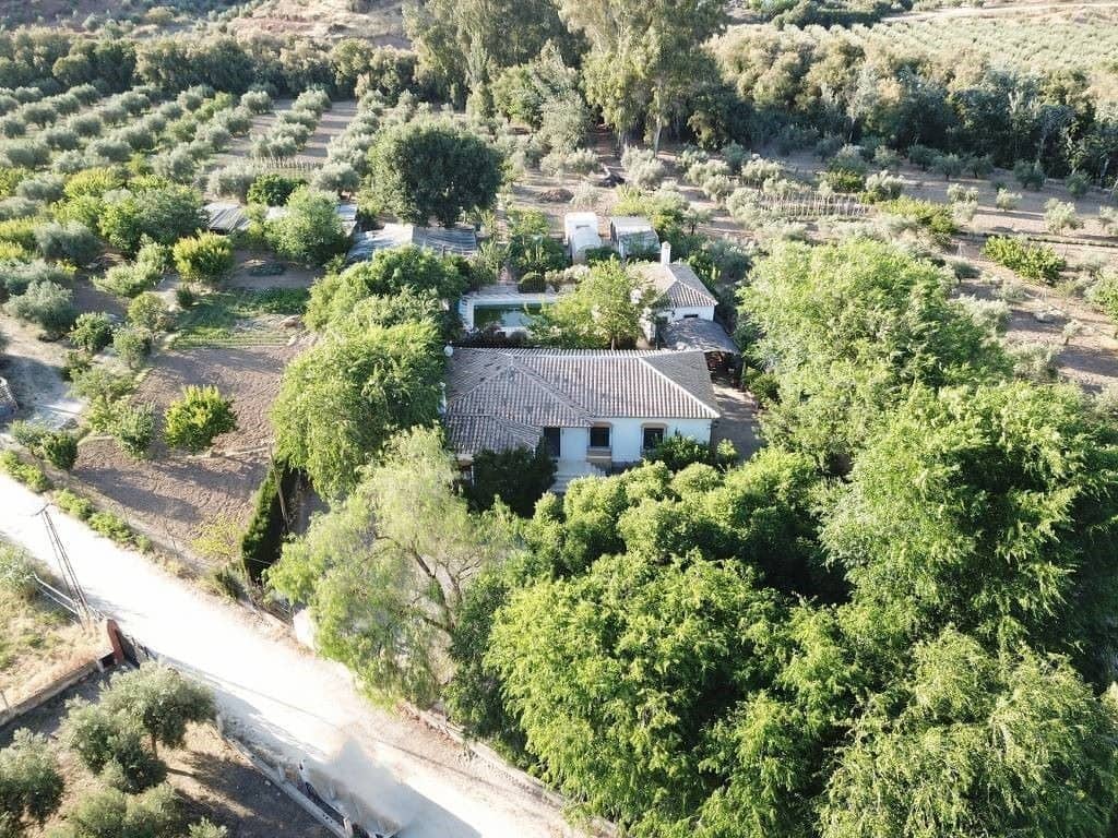 5 soveværelse Villa til salg i Baena med swimmingpool - € 235.000 (Ref: 10046181)