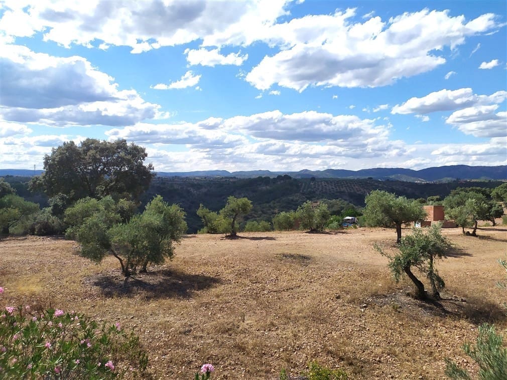 4 sypialnia Willa na sprzedaż w Montoro z basenem garażem - 195 000 € (Ref: 10046182)