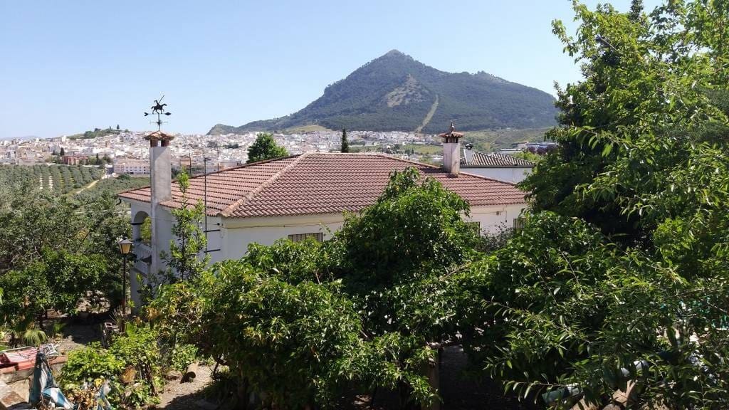 5 bedroom Villa for sale in Rute with pool - € 315,000 (Ref: 10046186)