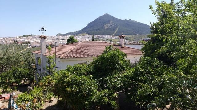 5 Zimmer Villa zu verkaufen in Rute mit Pool - 315.000 € (Ref: 10046186)