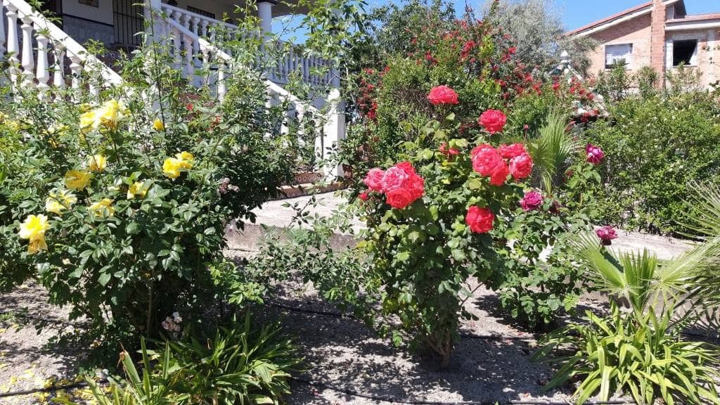 5 bedroom Villa for sale in Rute with pool - € 315,000 (Ref: 10046186)