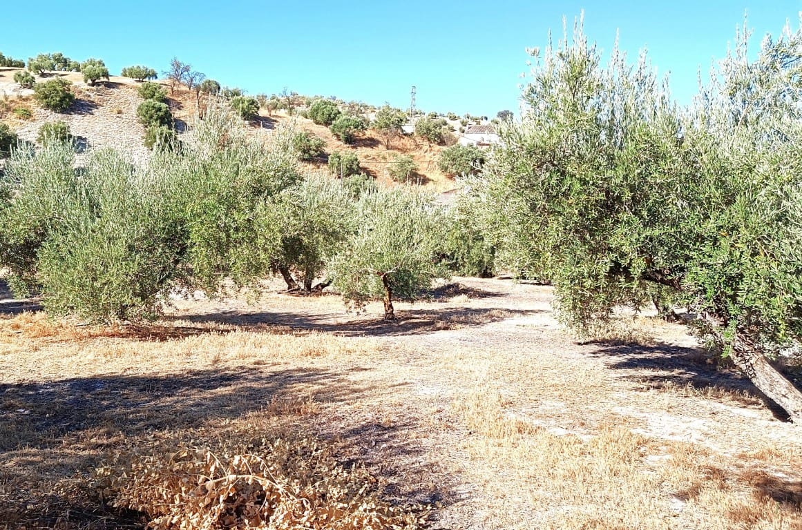 4 slaapkamer Finca/Landhuis te koop in Sabariego met zwembad garage - € 93.000 (Ref: 10093979)