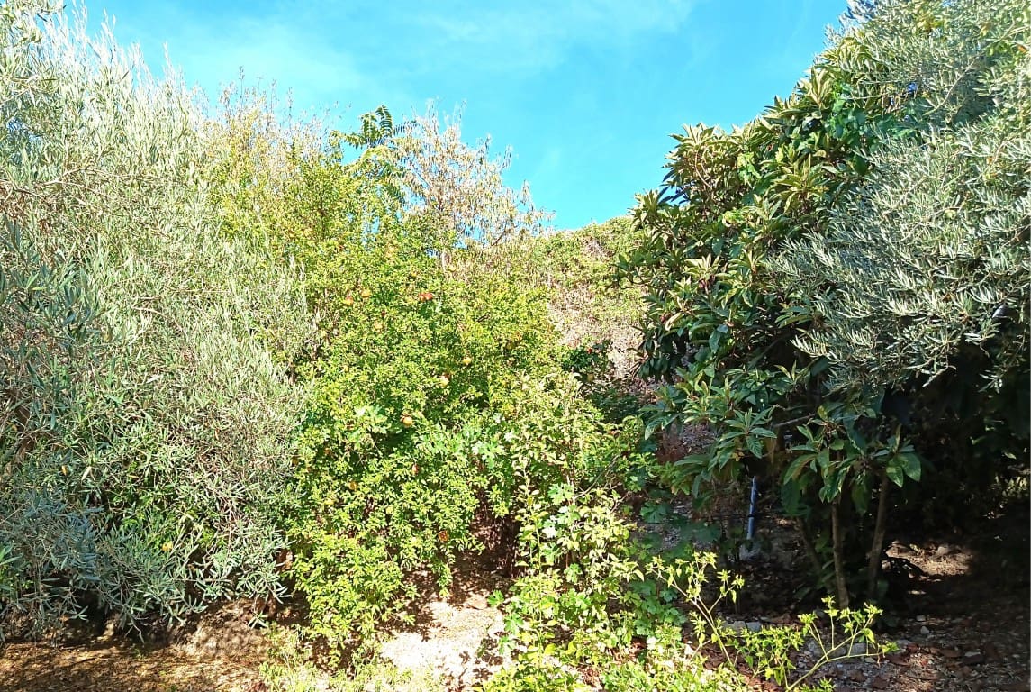 6 chambre Finca/Maison de Campagne à vendre à Iznajar - 168 000 € (Ref: 10106470)