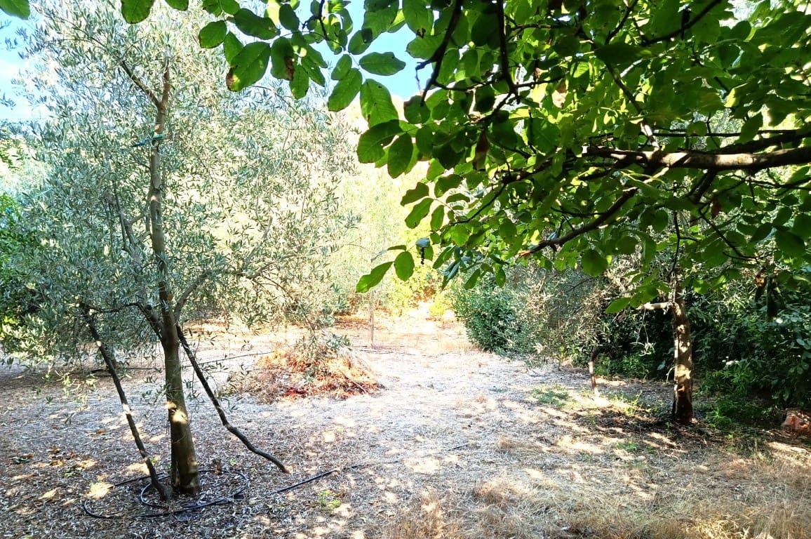 6 chambre Finca/Maison de Campagne à vendre à Iznajar - 168 000 € (Ref: 10106470)