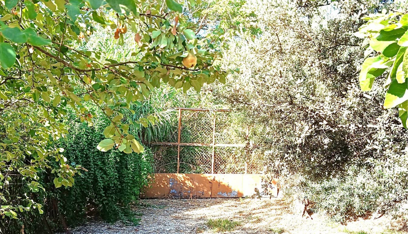 6 chambre Finca/Maison de Campagne à vendre à Iznajar - 168 000 € (Ref: 10106470)