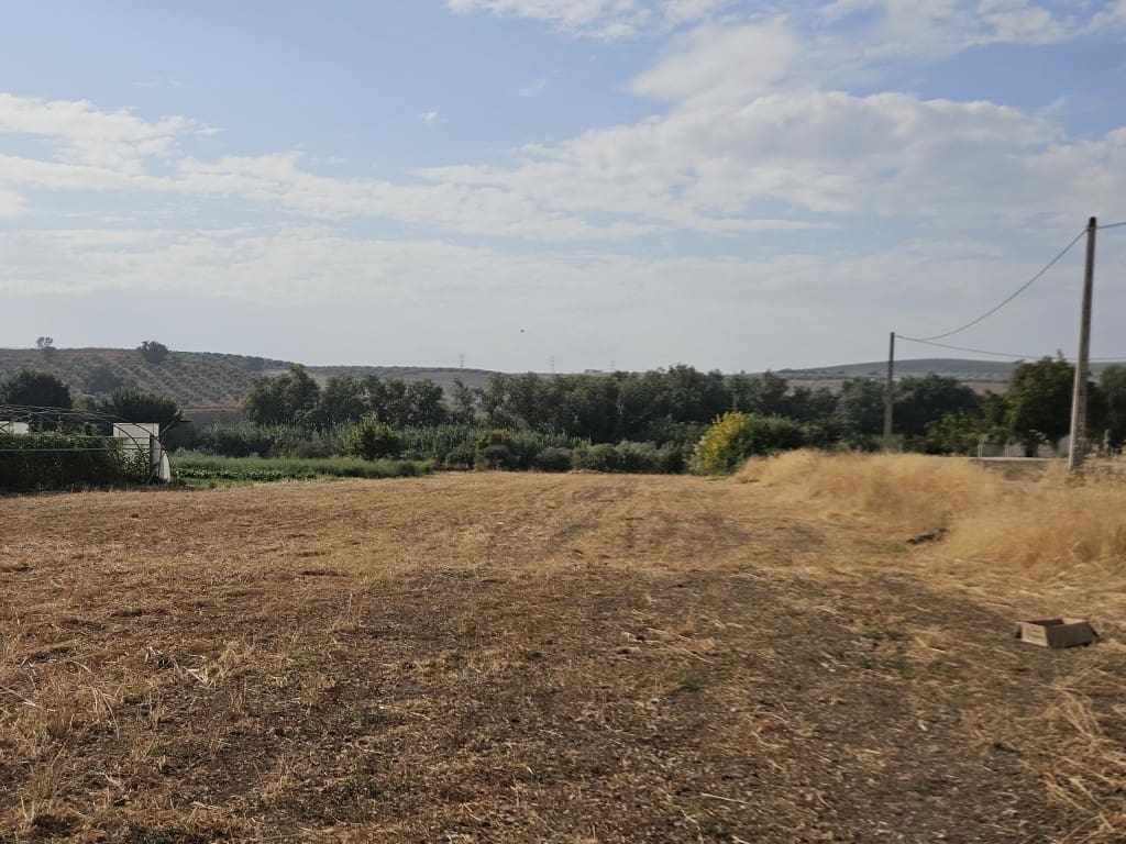 6 chambre Finca/Maison de Campagne à vendre à Cabra - 150 000 € (Ref: 10162094)