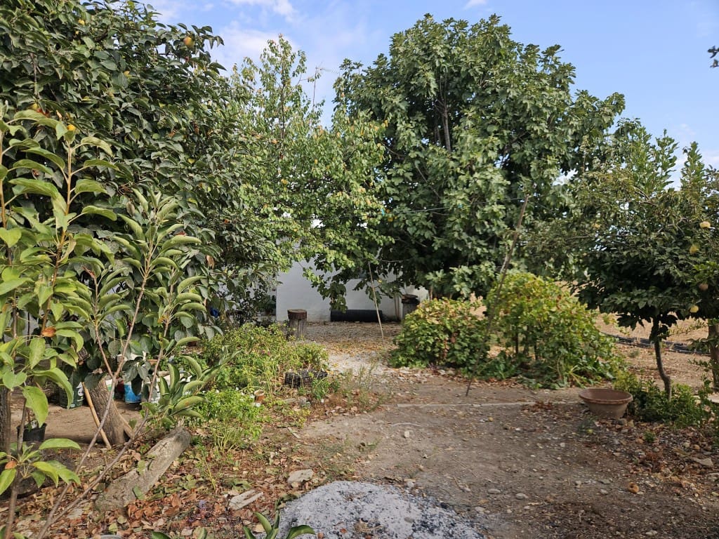 6 chambre Finca/Maison de Campagne à vendre à Cabra - 150 000 € (Ref: 10162094)
