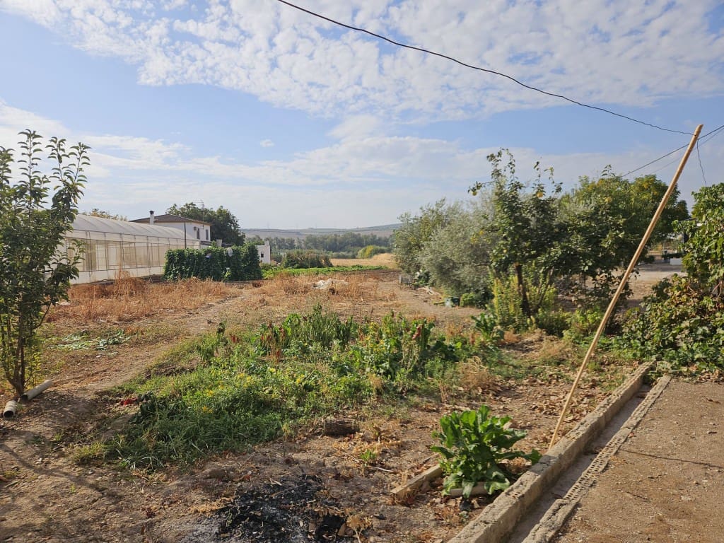 6 chambre Finca/Maison de Campagne à vendre à Cabra - 150 000 € (Ref: 10162094)