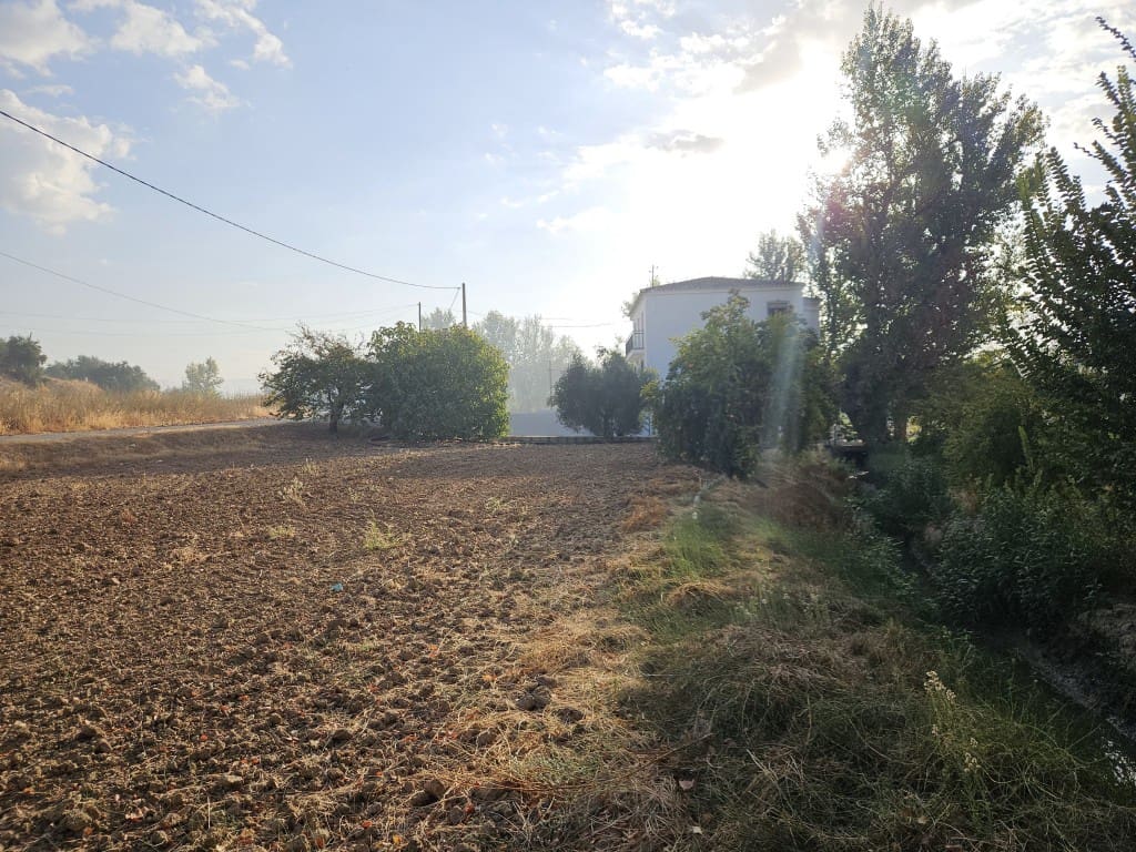 4 chambre Finca/Maison de Campagne à vendre à Cabra avec garage - 149 000 € (Ref: 10162095)