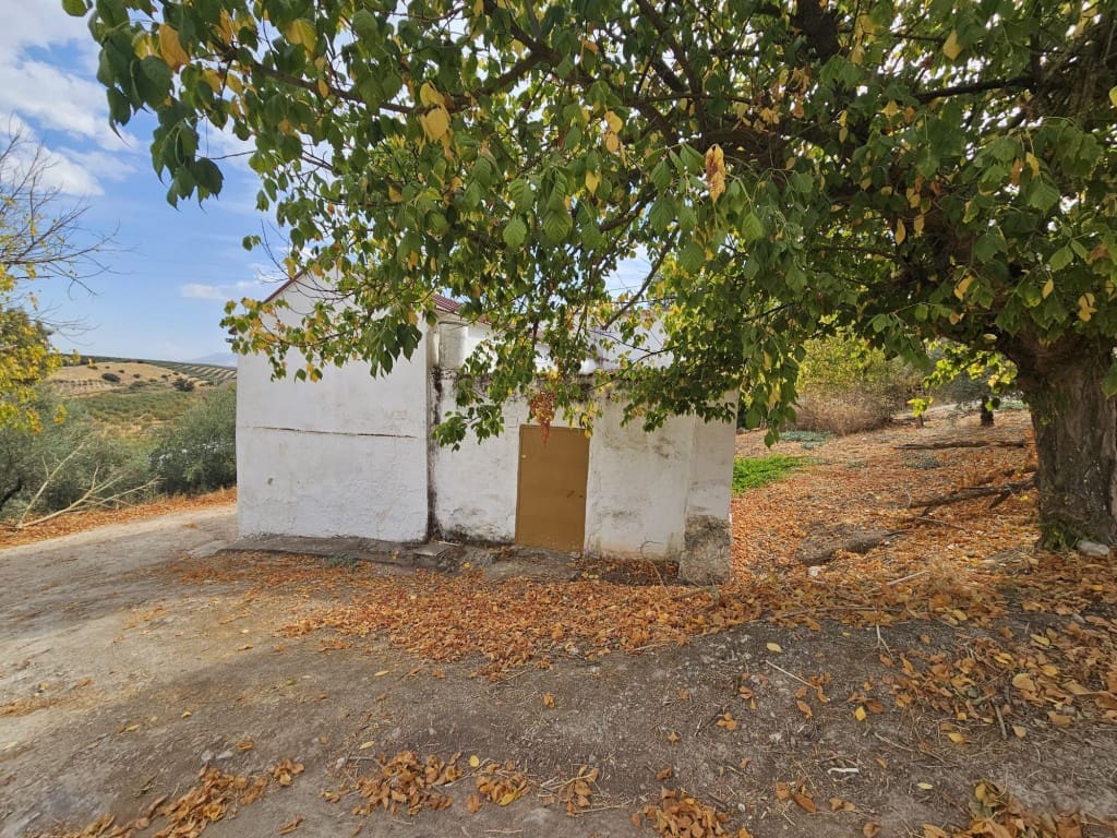5 soveværelse Finca/Landehus til salg i Cabra med garage - € 99.000 (Ref: 10162096)