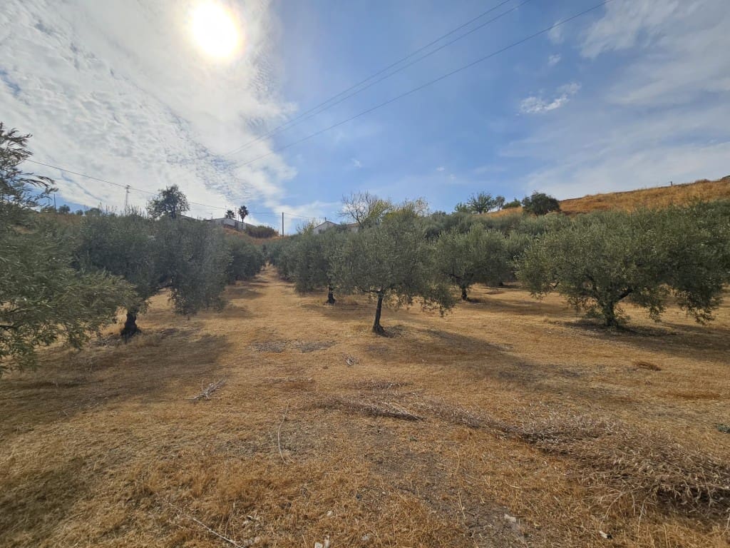 5 soveværelse Finca/Landehus til salg i Cabra med garage - € 99.000 (Ref: 10162096)