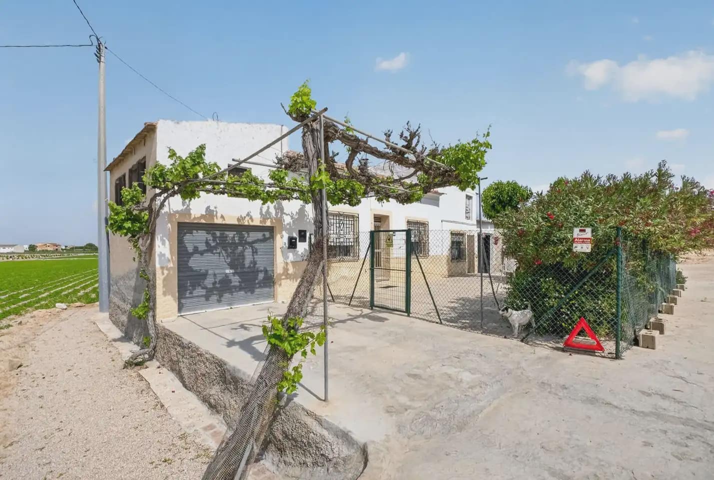 3 Zimmer Finca/Landgut zu verkaufen in Orihuela mit Garage - 150.000 € (Ref: 10095336)