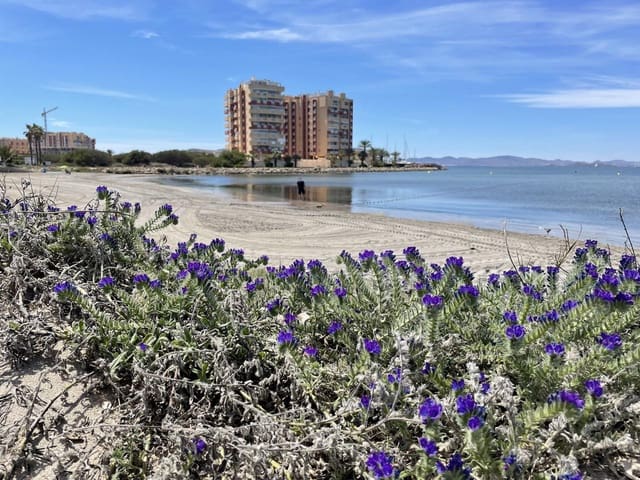 2 soveværelse Lejlighed til salg i La Manga del Mar Menor med swimmingpool - € 199.000 (Ref: 10011773)