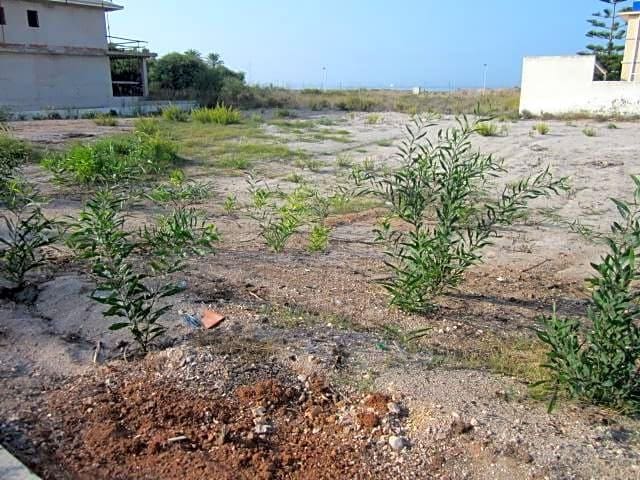 Undeveloped Land for sale in La Manga del Mar Menor - € 115,000 (Ref: 10011795)