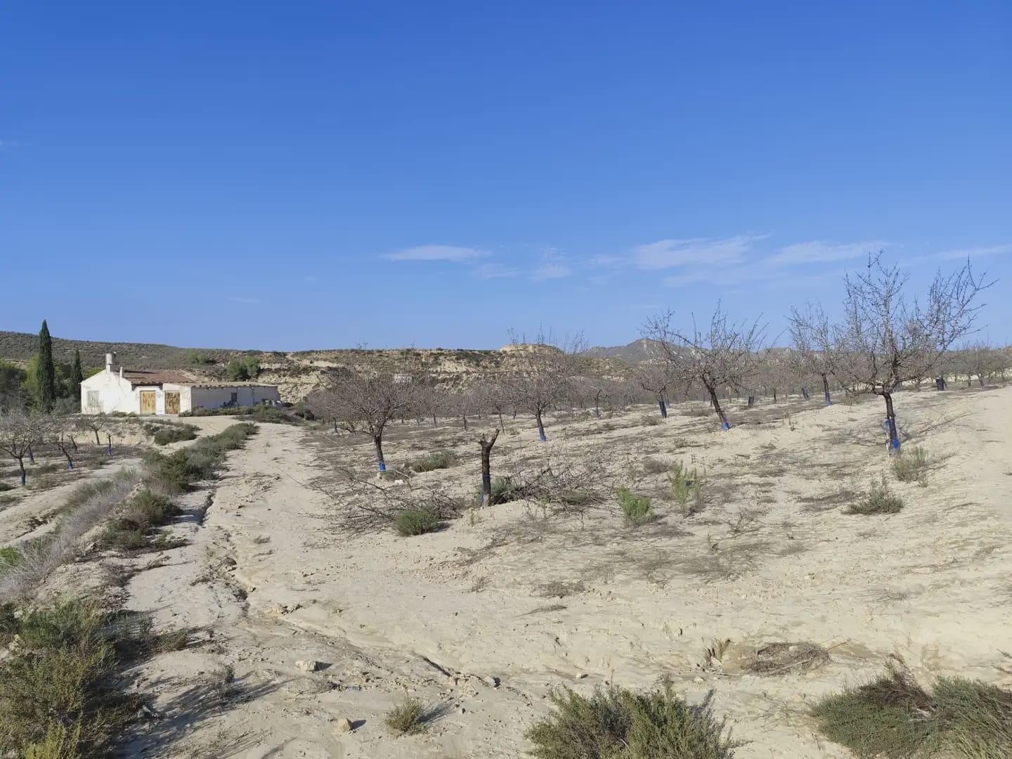Quinta/Casa Rural para venda em Canada de San Pedro - 300 000 € (Ref: 10045537)