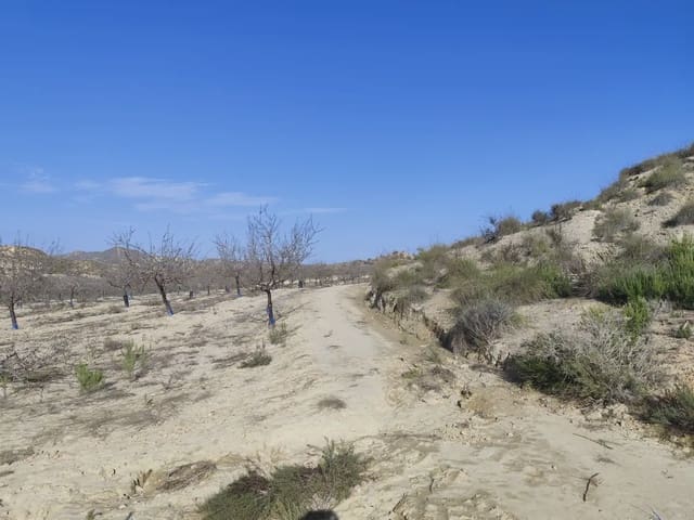 Quinta/Casa Rural para venda em Cañada de San Pedro, Múrcia cidade - 300 000 € (Ref: 10045537)