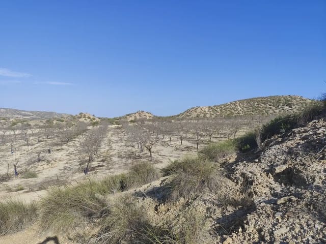Quinta/Casa Rural para venda em Cañada de San Pedro, Múrcia cidade - 300 000 € (Ref: 10045537)