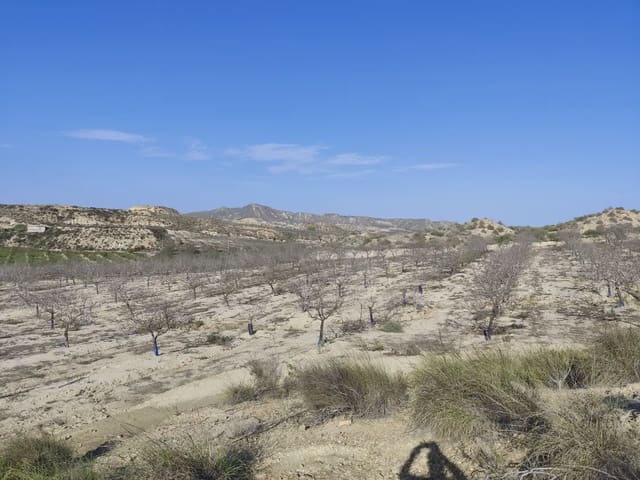 Quinta/Casa Rural para venda em Cañada de San Pedro, Múrcia cidade - 300 000 € (Ref: 10045537)