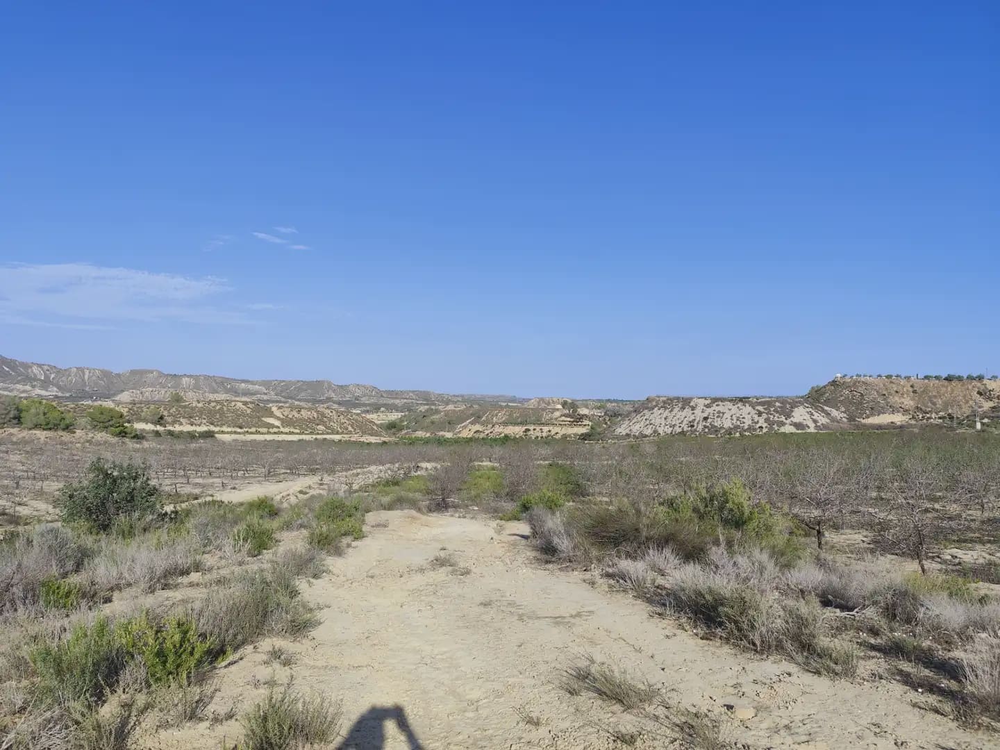 Quinta/Casa Rural para venda em Canada de San Pedro - 300 000 € (Ref: 10045537)