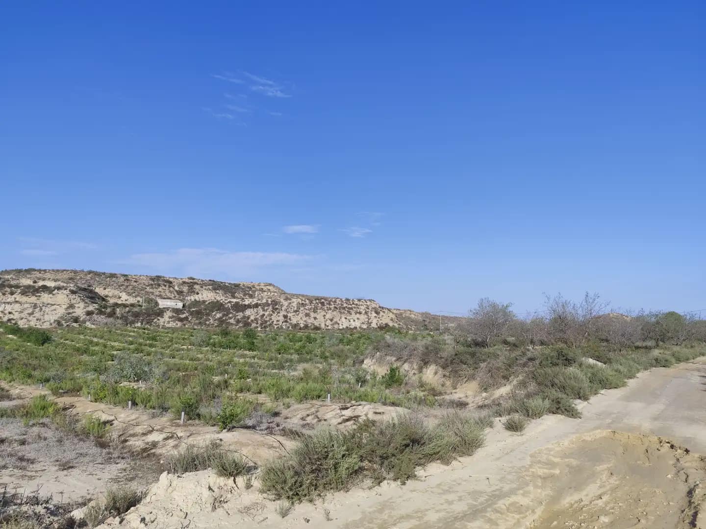 Quinta/Casa Rural para venda em Canada de San Pedro - 300 000 € (Ref: 10045537)