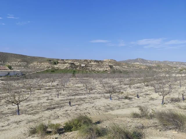Quinta/Casa Rural para venda em Cañada de San Pedro, Múrcia cidade - 300 000 € (Ref: 10045537)