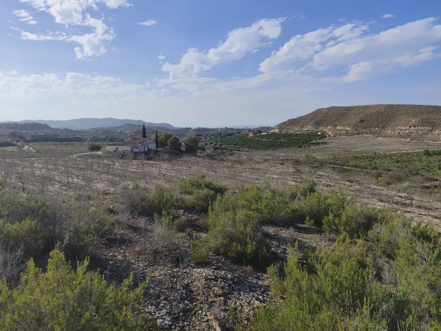 Quinta/Casa Rural para venda em Canada de San Pedro - 300 000 € (Ref: 10045537)
