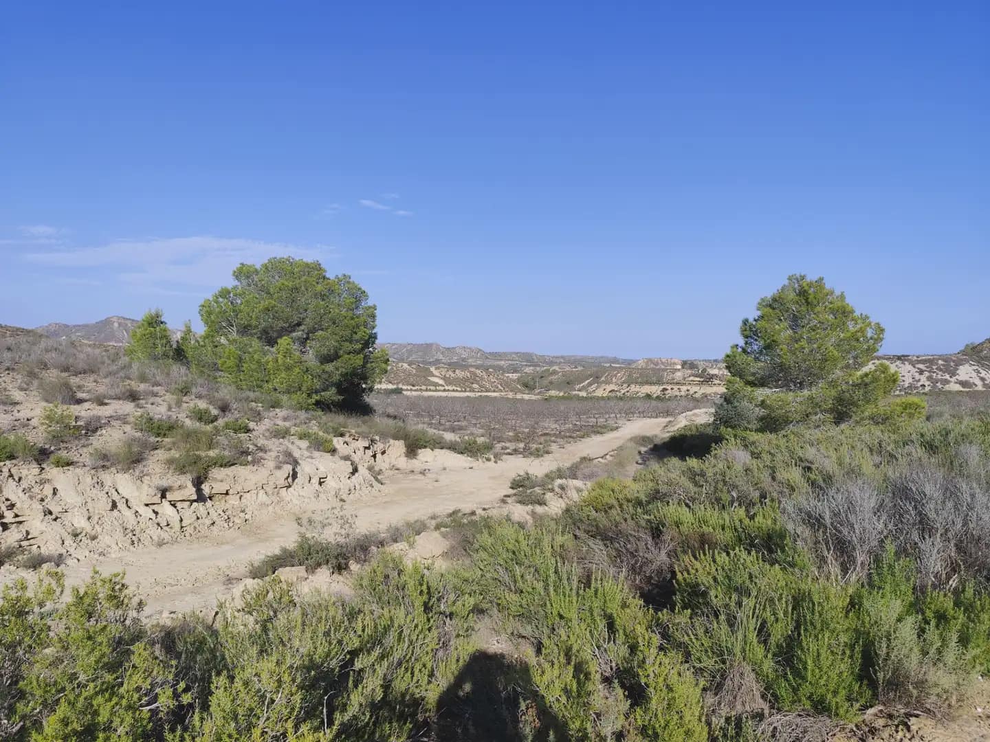 Quinta/Casa Rural para venda em Canada de San Pedro - 300 000 € (Ref: 10045537)