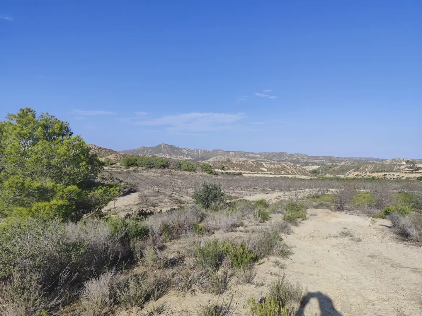 Quinta/Casa Rural para venda em Canada de San Pedro - 300 000 € (Ref: 10045537)