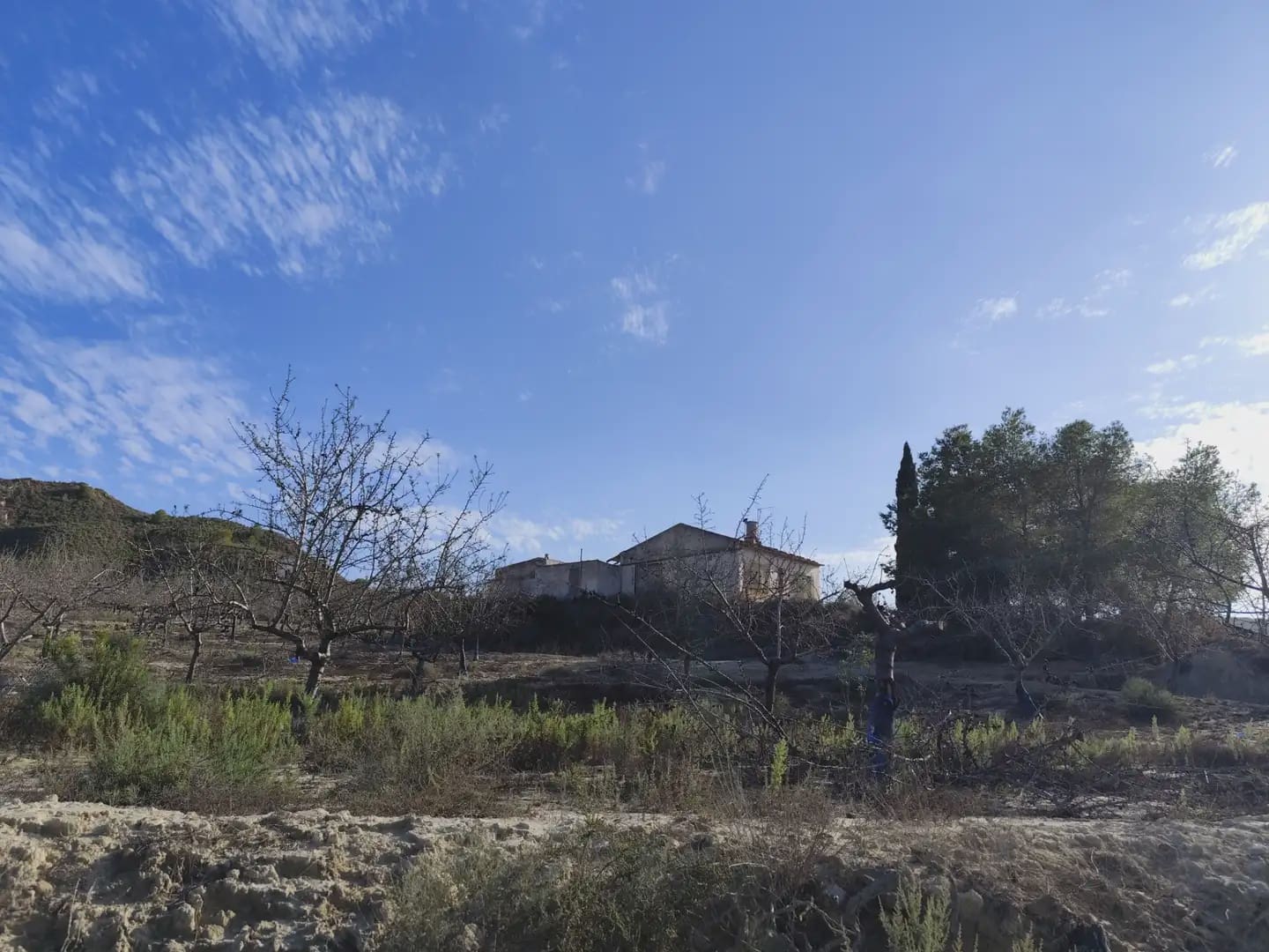 Quinta/Casa Rural para venda em Canada de San Pedro - 300 000 € (Ref: 10045537)