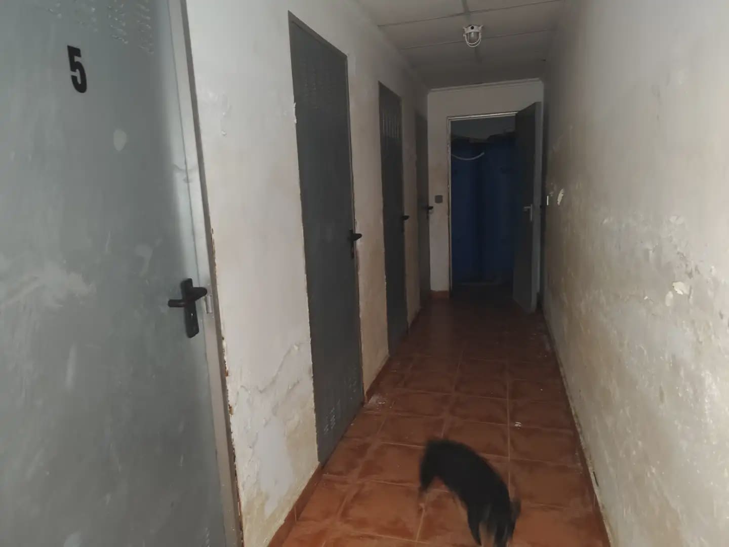 5 Zimmer Penthouse zu verkaufen in Murcia Stadt mit Garage - 235.000 € (Ref: 10045538)
