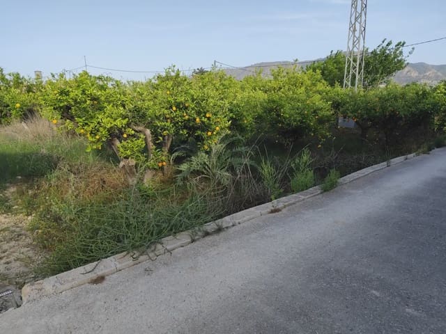 Undeveloped Land for sale in Torreagüera, Murcia city - € 50,000 (Ref: 10045539)