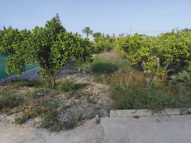 Undeveloped Land for sale in Torreagüera, Murcia city - € 50,000 (Ref: 10045539)