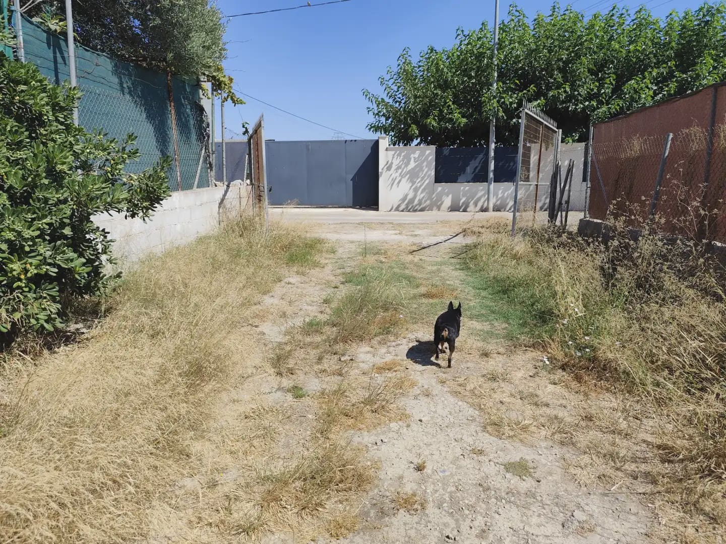 4 chambre Finca/Maison de Campagne à vendre à Beniajan avec garage - 150 000 € (Ref: 10045541)