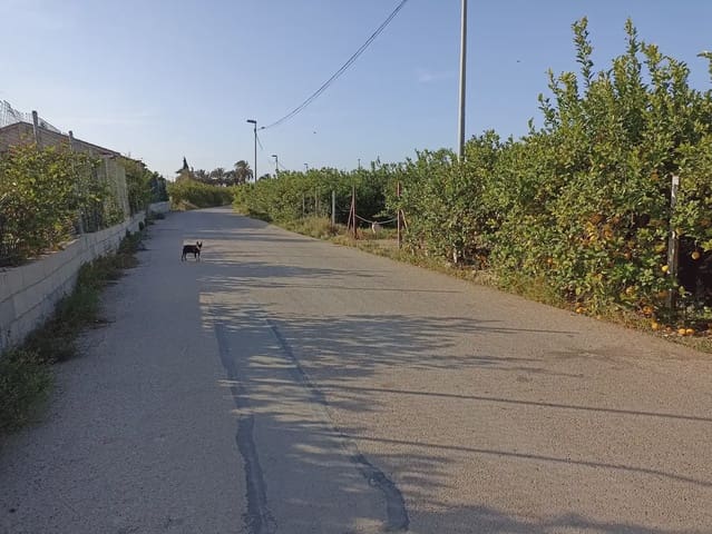Grunde uden byggetilladelser til salg i Torreagüera, Murcia by - € 30.000 (Ref: 10045550)