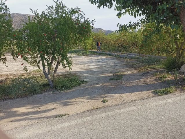 Grunde uden byggetilladelser til salg i Torreagüera, Murcia by - € 30.000 (Ref: 10045550)