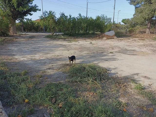 Grunde uden byggetilladelser til salg i Torreagüera, Murcia by - € 30.000 (Ref: 10045550)