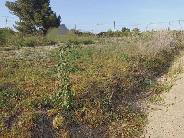 Grunde uden byggetilladelser til salg i Torreagüera, Murcia by - € 30.000 (Ref: 10045550)