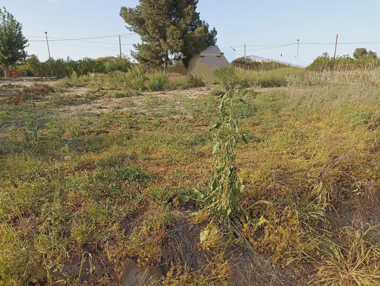 Rakentamaton maa myytävänä paikassa Torreaguera - 30 000 € (Ref: 10045550)