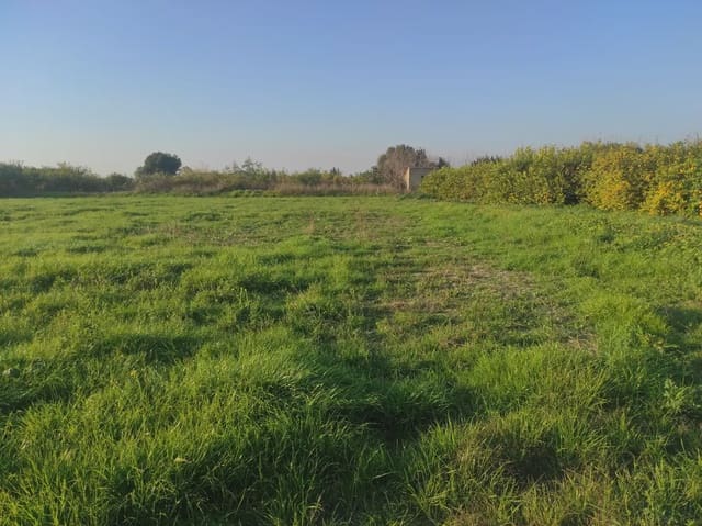 Grunde uden byggetilladelser til salg i Torreagüera, Murcia by - € 36.000 (Ref: 10045551)