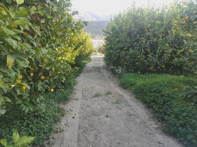 Grunde uden byggetilladelser til salg i Torreagüera, Murcia by - € 36.000 (Ref: 10045551)