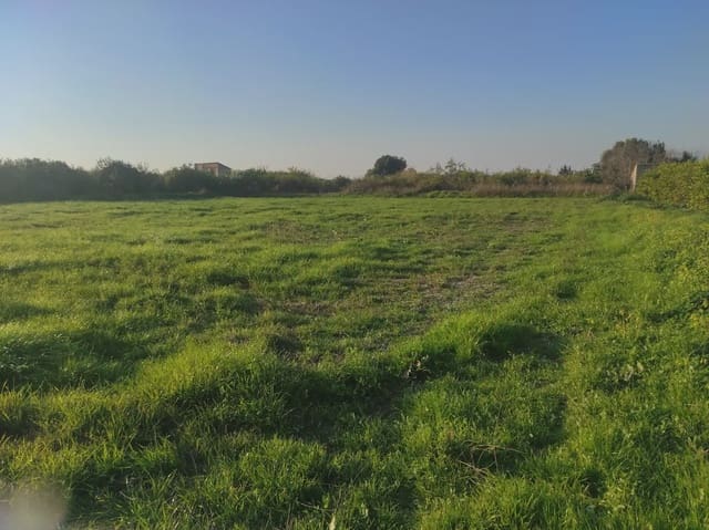 Grunde uden byggetilladelser til salg i Torreagüera, Murcia by - € 36.000 (Ref: 10045551)