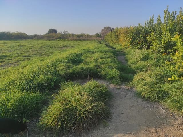 Grunde uden byggetilladelser til salg i Torreagüera, Murcia by - € 36.000 (Ref: 10045551)