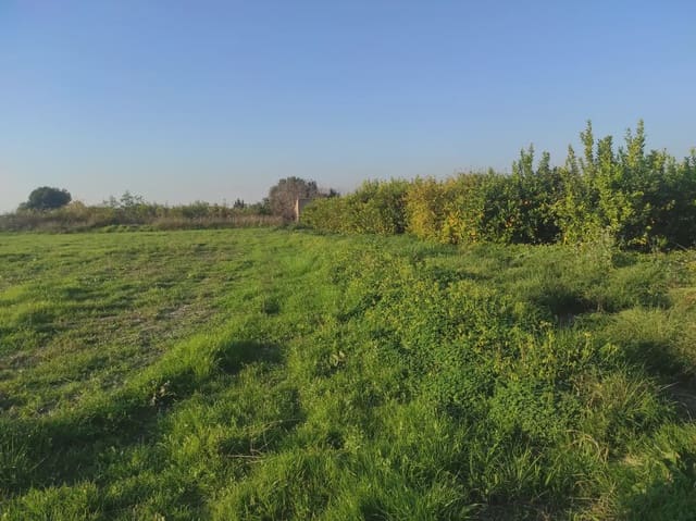 Grunde uden byggetilladelser til salg i Torreagüera, Murcia by - € 36.000 (Ref: 10045551)