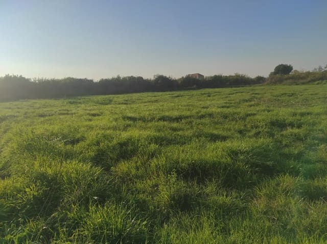 Grunde uden byggetilladelser til salg i Torreagüera, Murcia by - € 36.000 (Ref: 10045551)