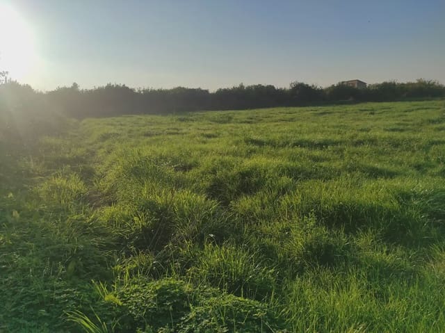 Grunde uden byggetilladelser til salg i Torreagüera, Murcia by - € 36.000 (Ref: 10045551)