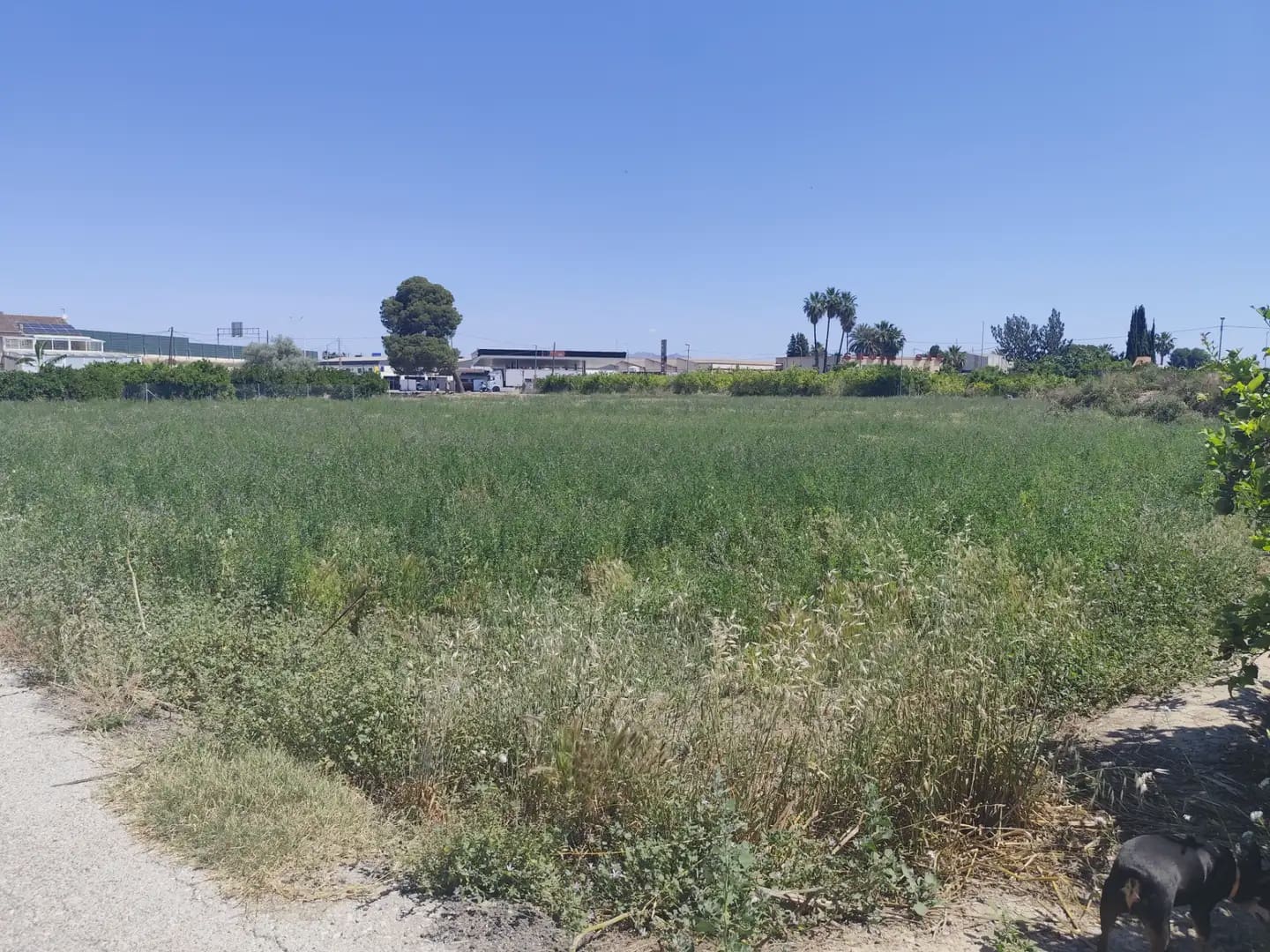 Building Plot for sale in Beniajan - € 150,000 (Ref: 10045552)