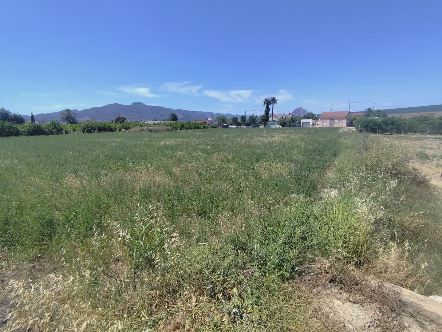 Building Plot for sale in Beniajan - € 150,000 (Ref: 10045552)