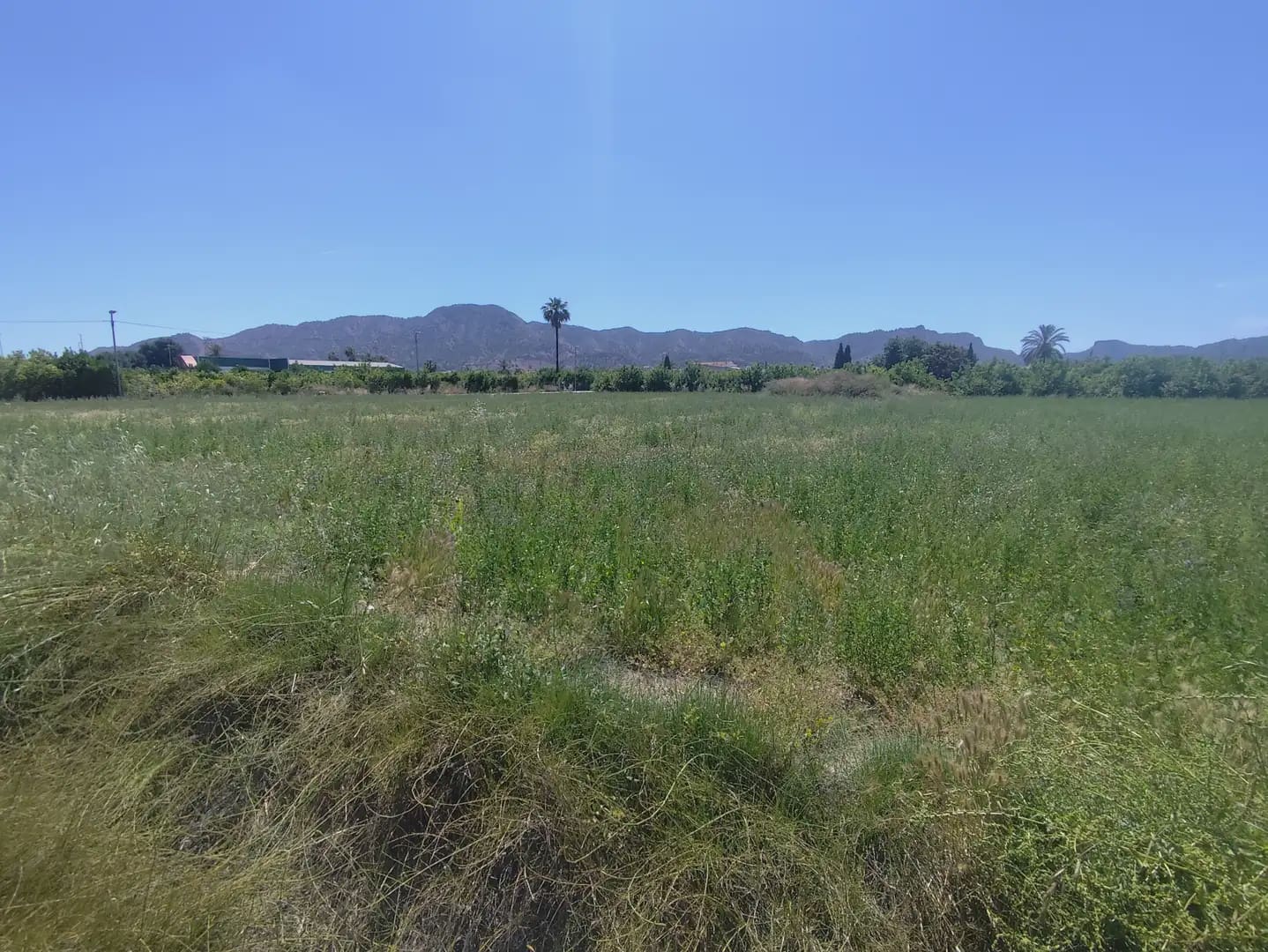 Building Plot for sale in Beniajan - € 150,000 (Ref: 10045552)