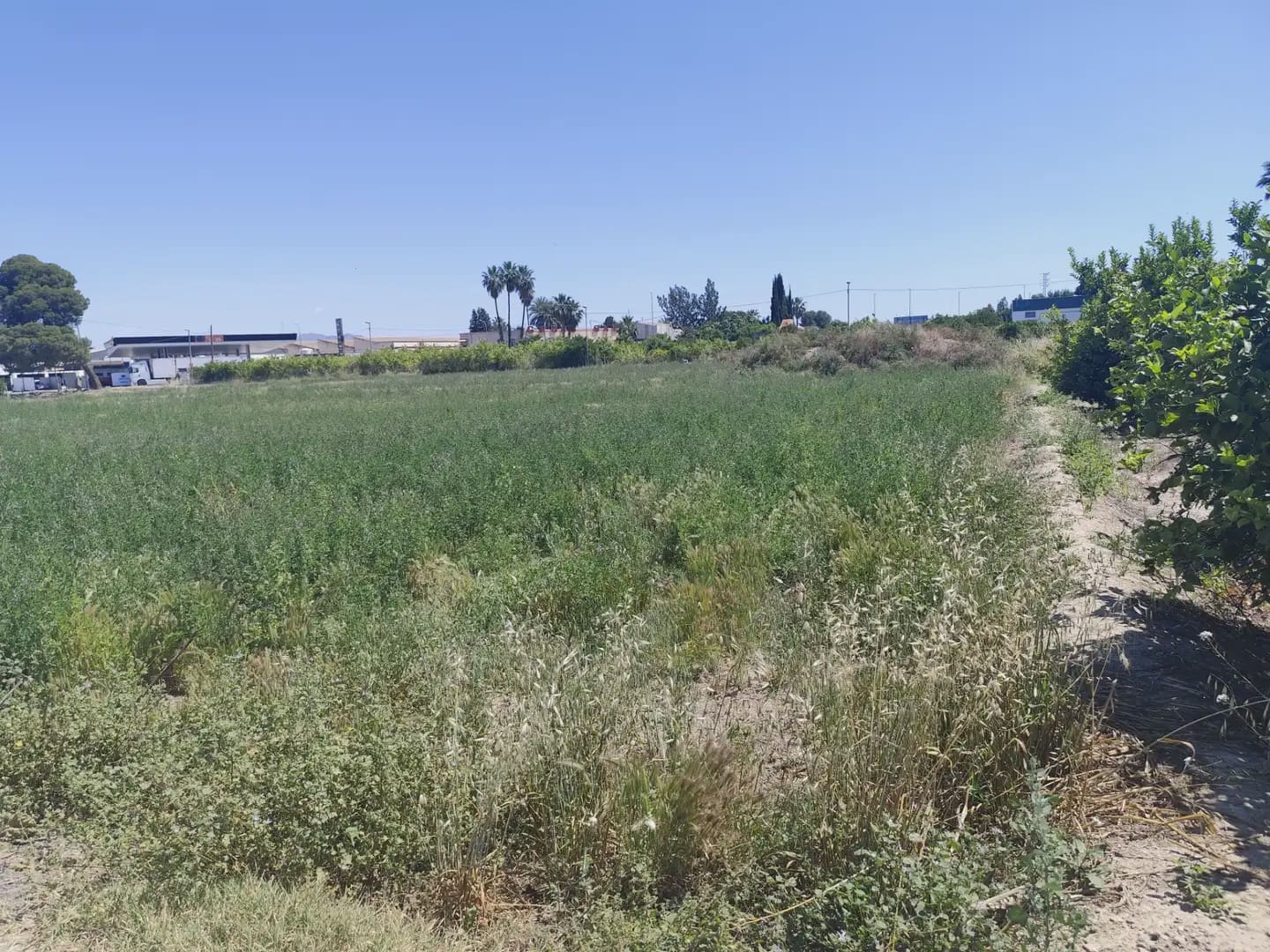 Building Plot for sale in Beniajan - € 150,000 (Ref: 10045552)